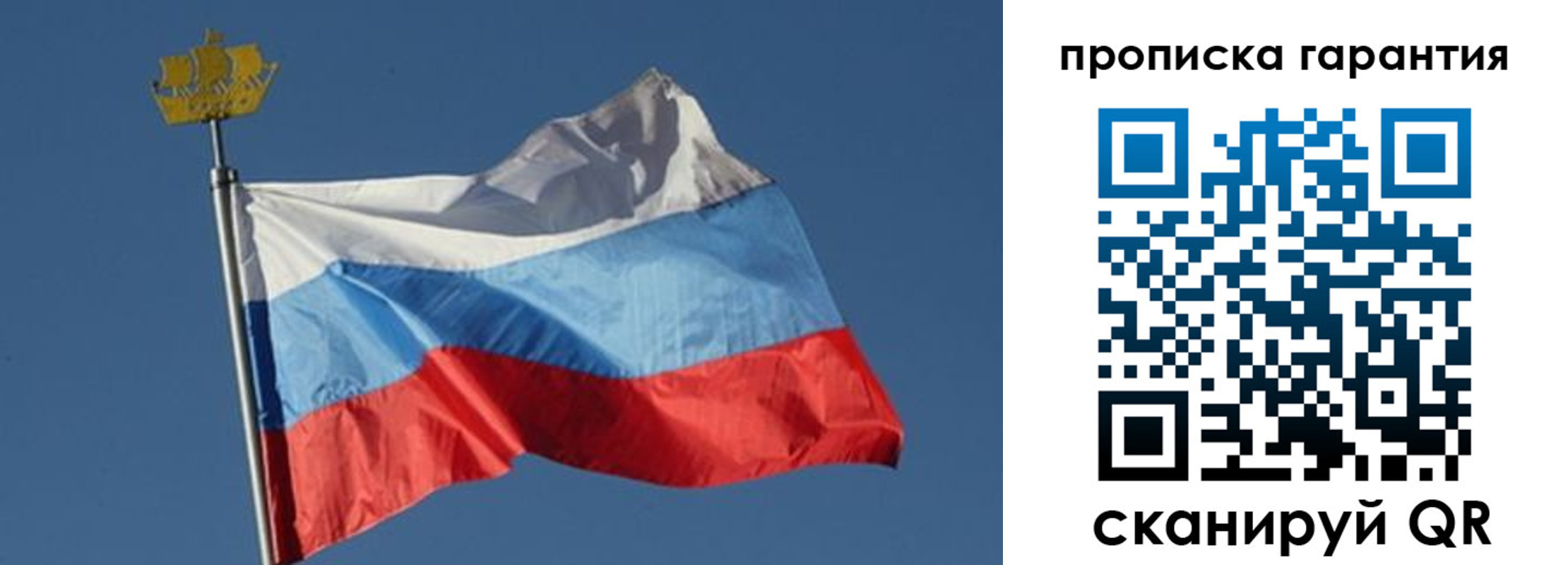 прописка для работы в Сертолово